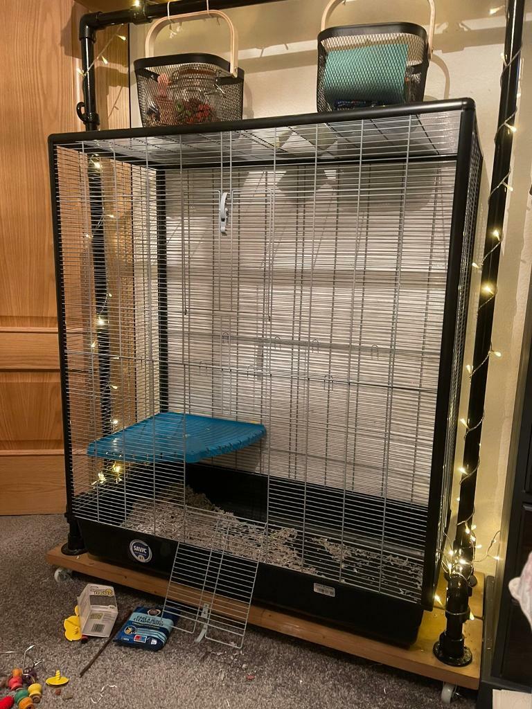 gumtree rat cage